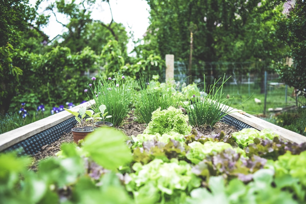 Greenhouse growing beds that benefit from recovered thermal energy